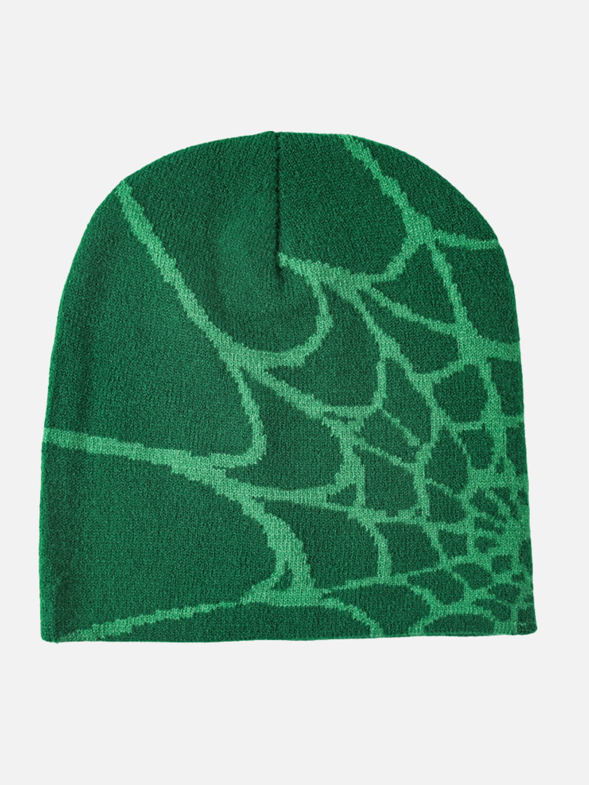 SPIDER - Graphic Beanie Green One Size | TEENWEAR.EU