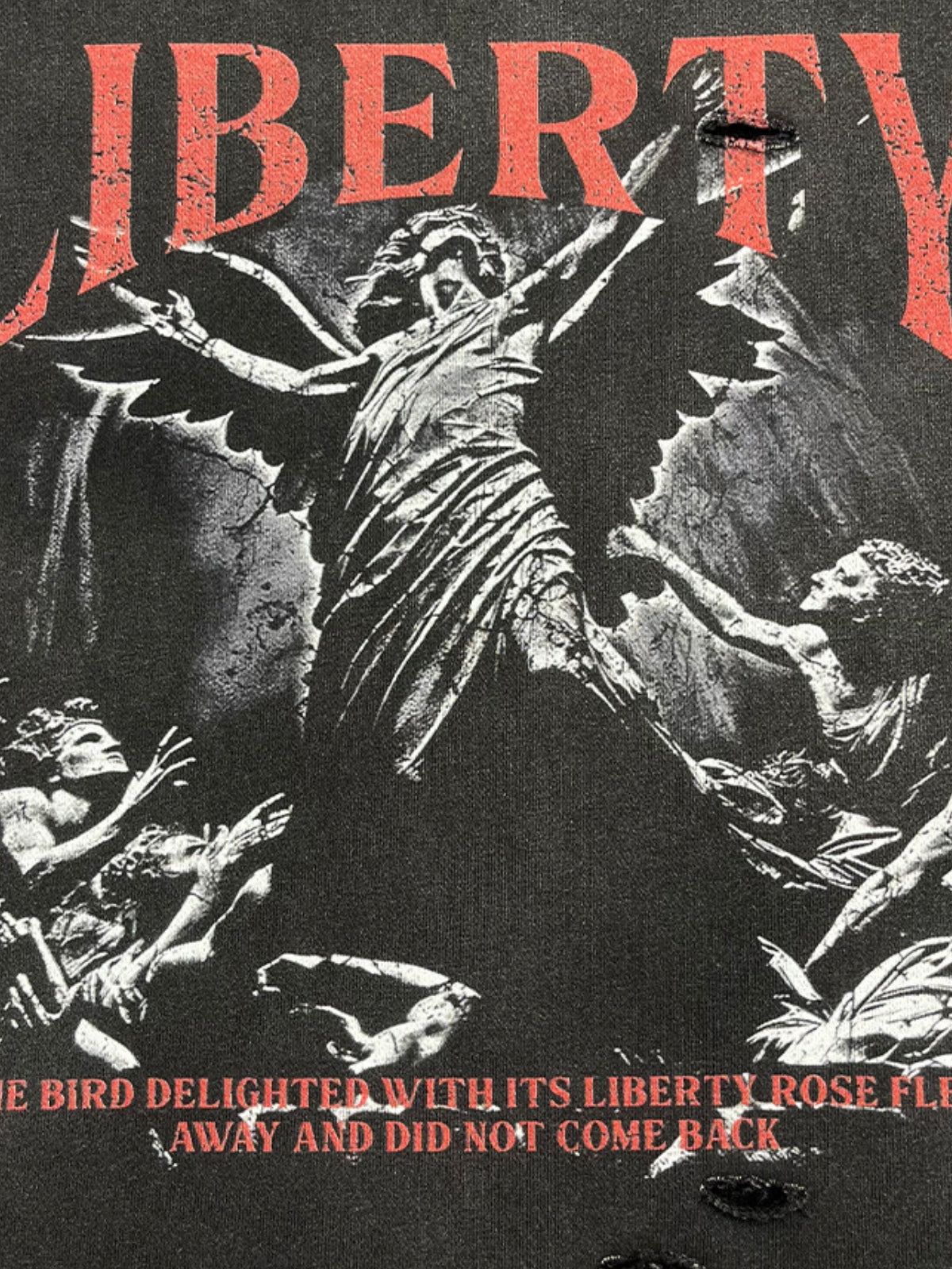 LIBERTY - Oversized Cropped Print Hoodie | TEENWEAR.EU