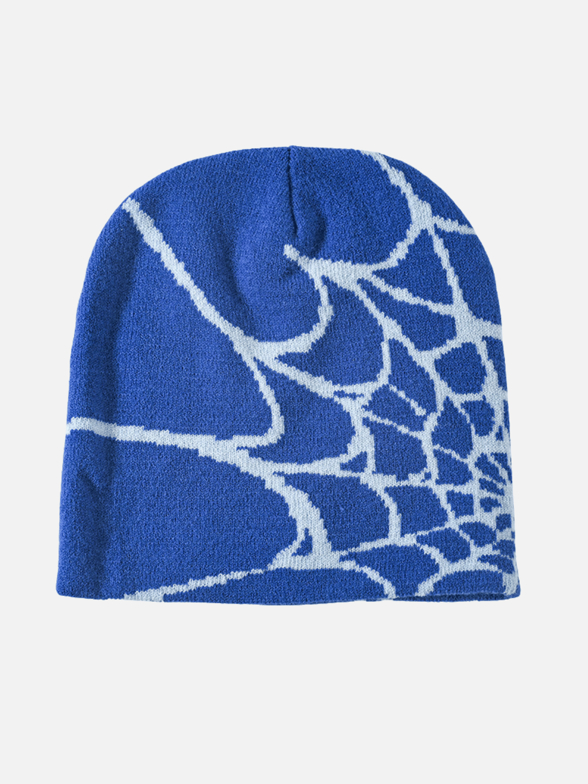 SPIDER - Graphic Beanie Blue White One Size | TEENWEAR.EU